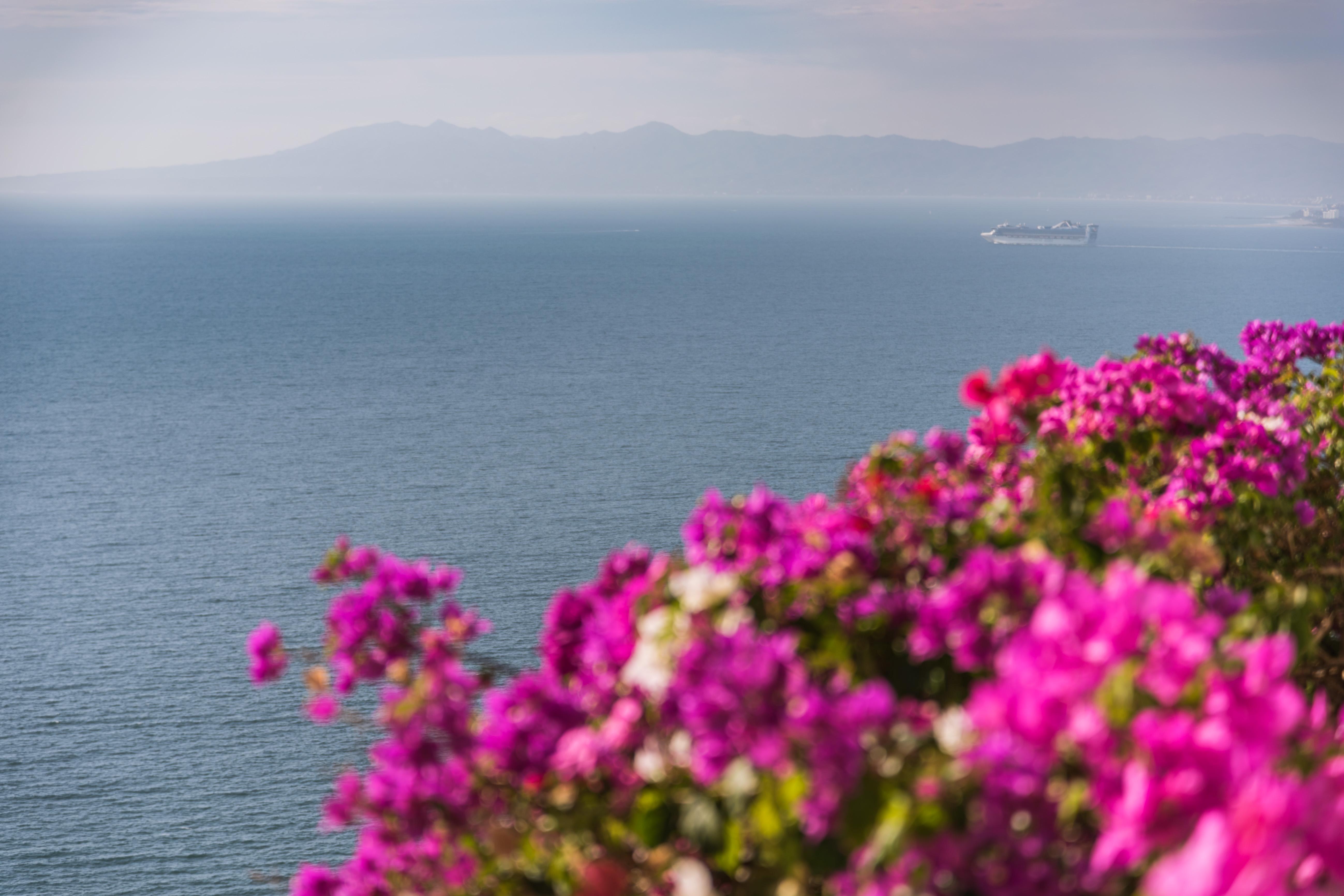 Grand Miramar All Luxury Suites & Residences (Adults Only) Puerto Vallarta Eksteriør billede