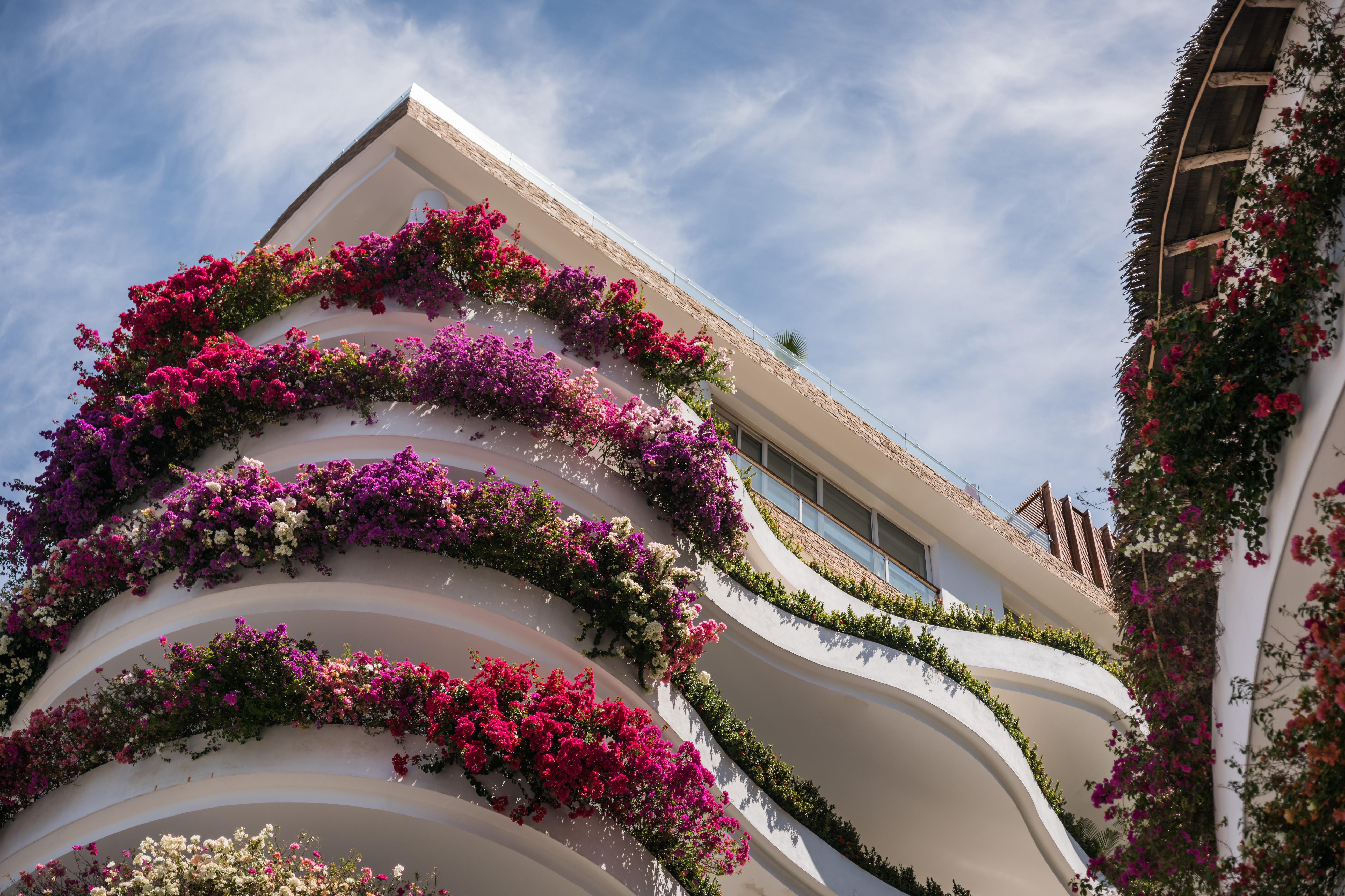 Grand Miramar All Luxury Suites & Residences (Adults Only) Puerto Vallarta Eksteriør billede