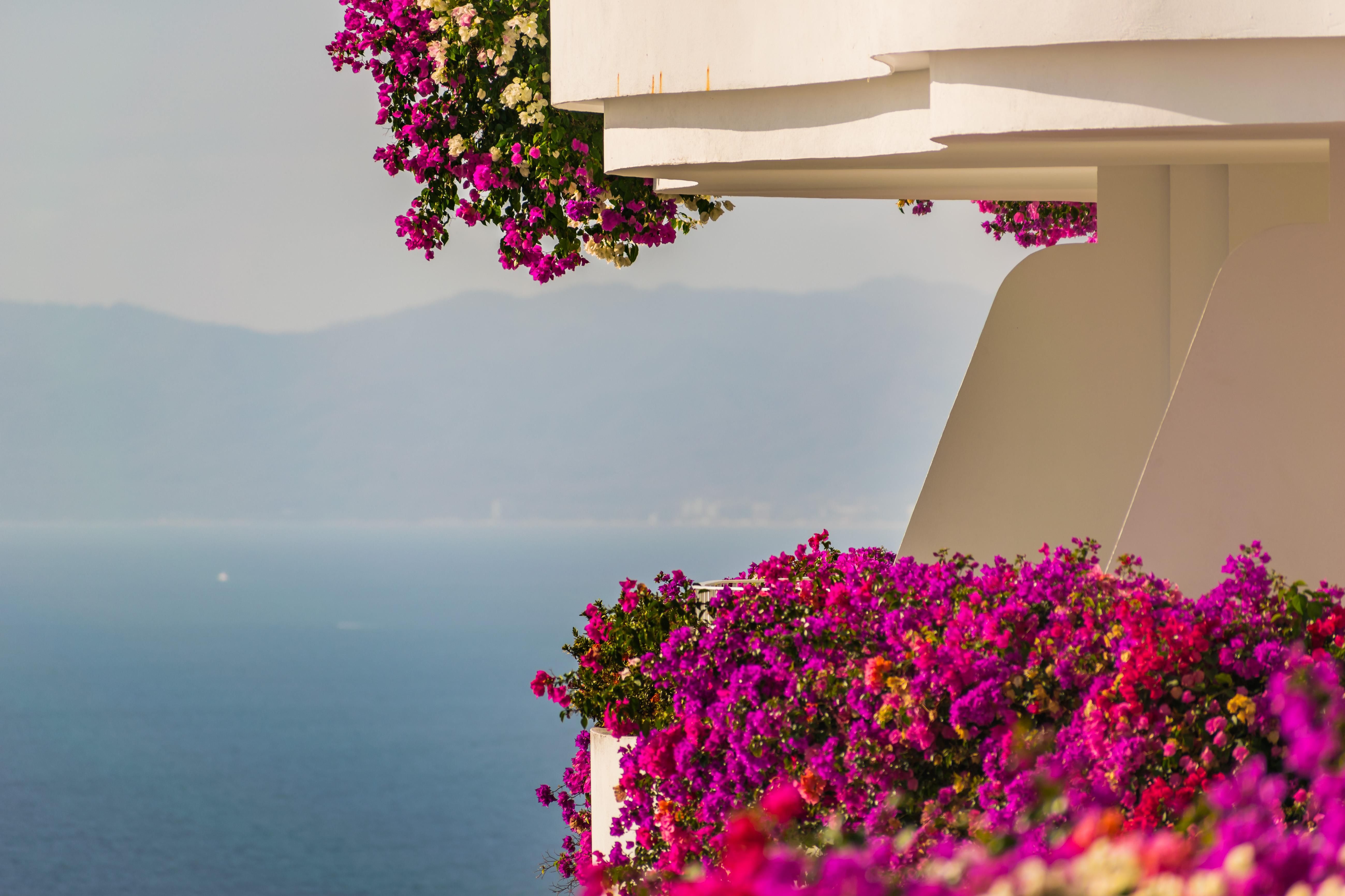 Grand Miramar All Luxury Suites & Residences (Adults Only) Puerto Vallarta Eksteriør billede