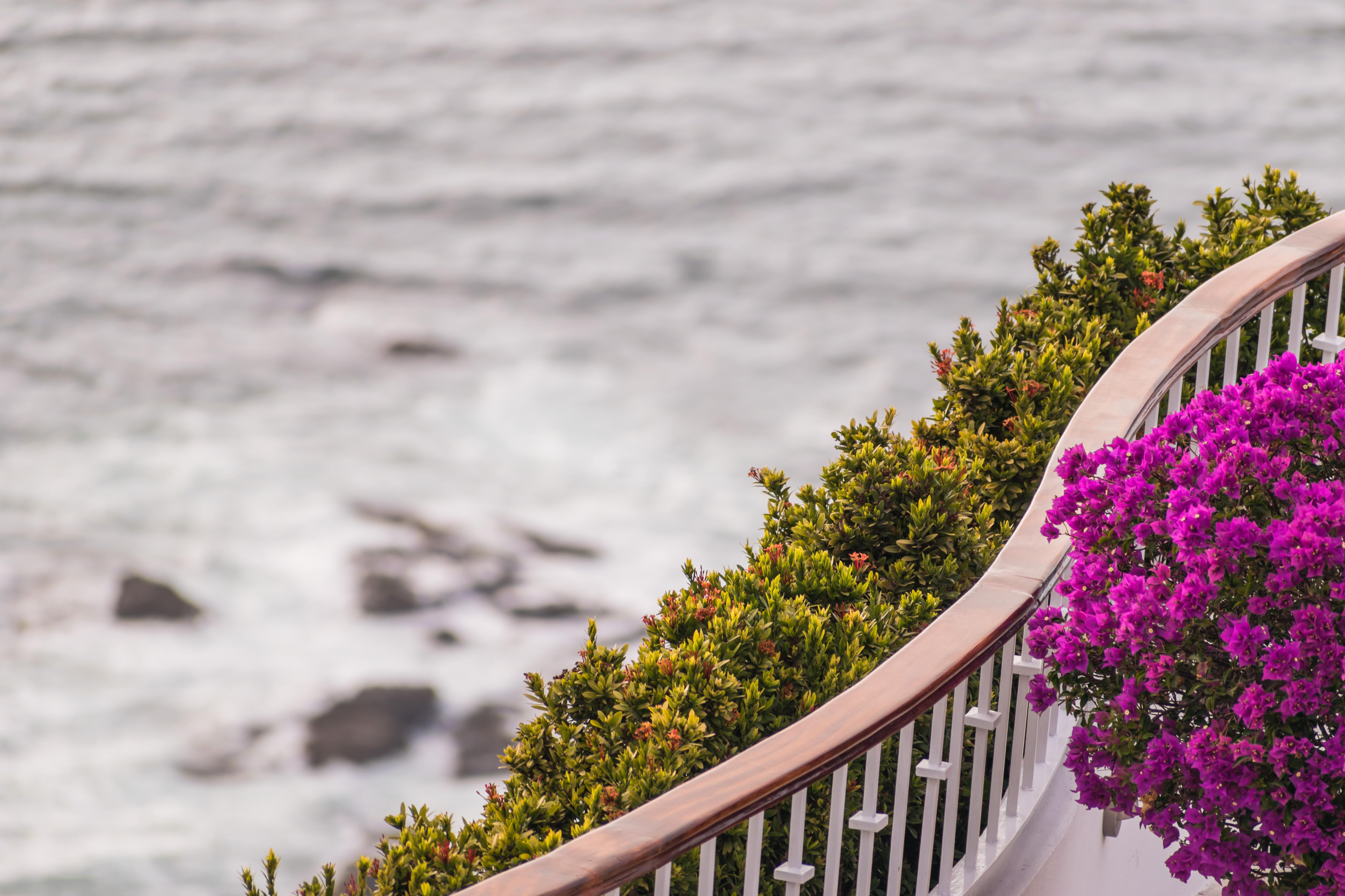 Grand Miramar All Luxury Suites & Residences (Adults Only) Puerto Vallarta Eksteriør billede