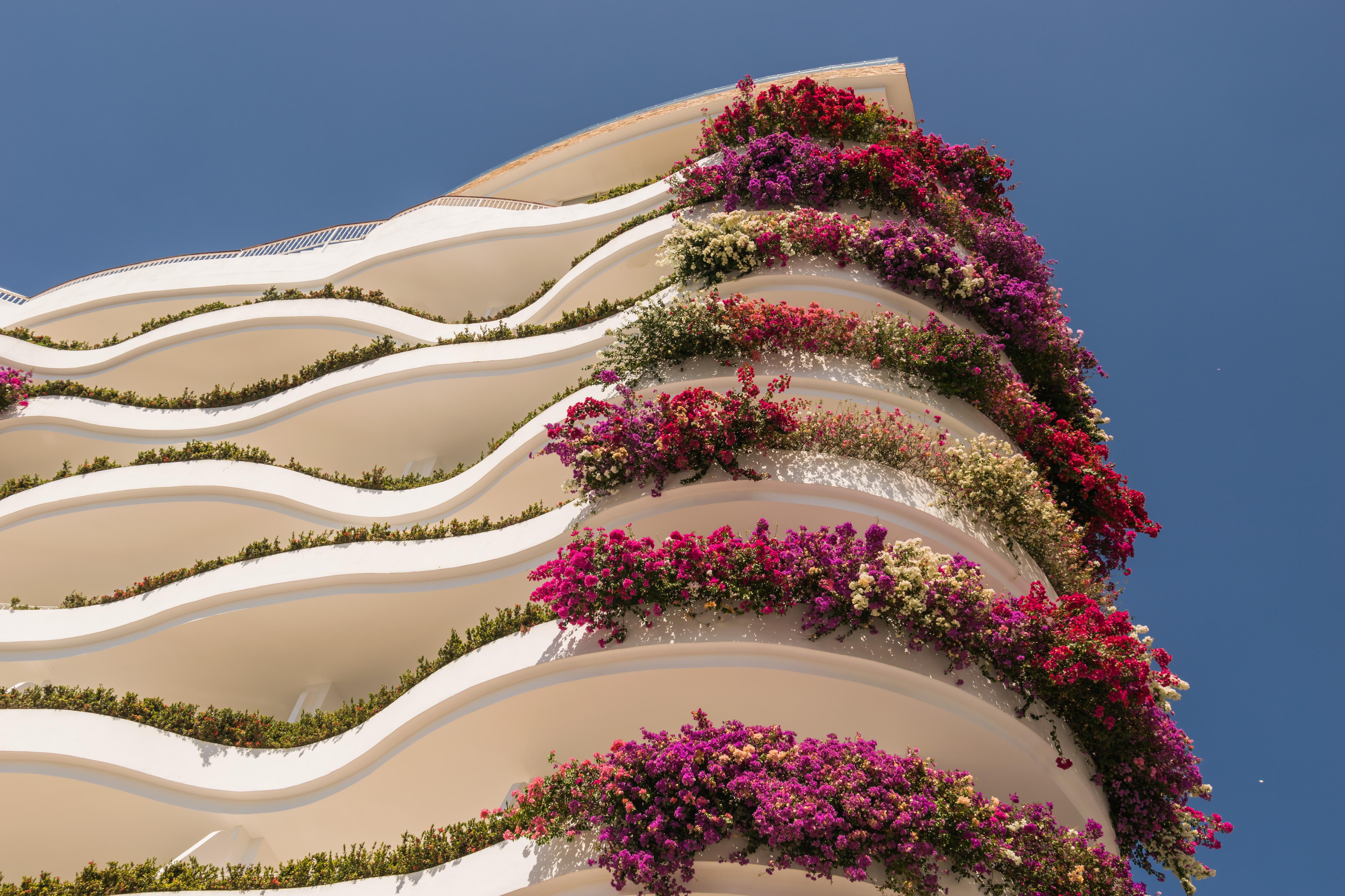 Grand Miramar All Luxury Suites & Residences (Adults Only) Puerto Vallarta Eksteriør billede