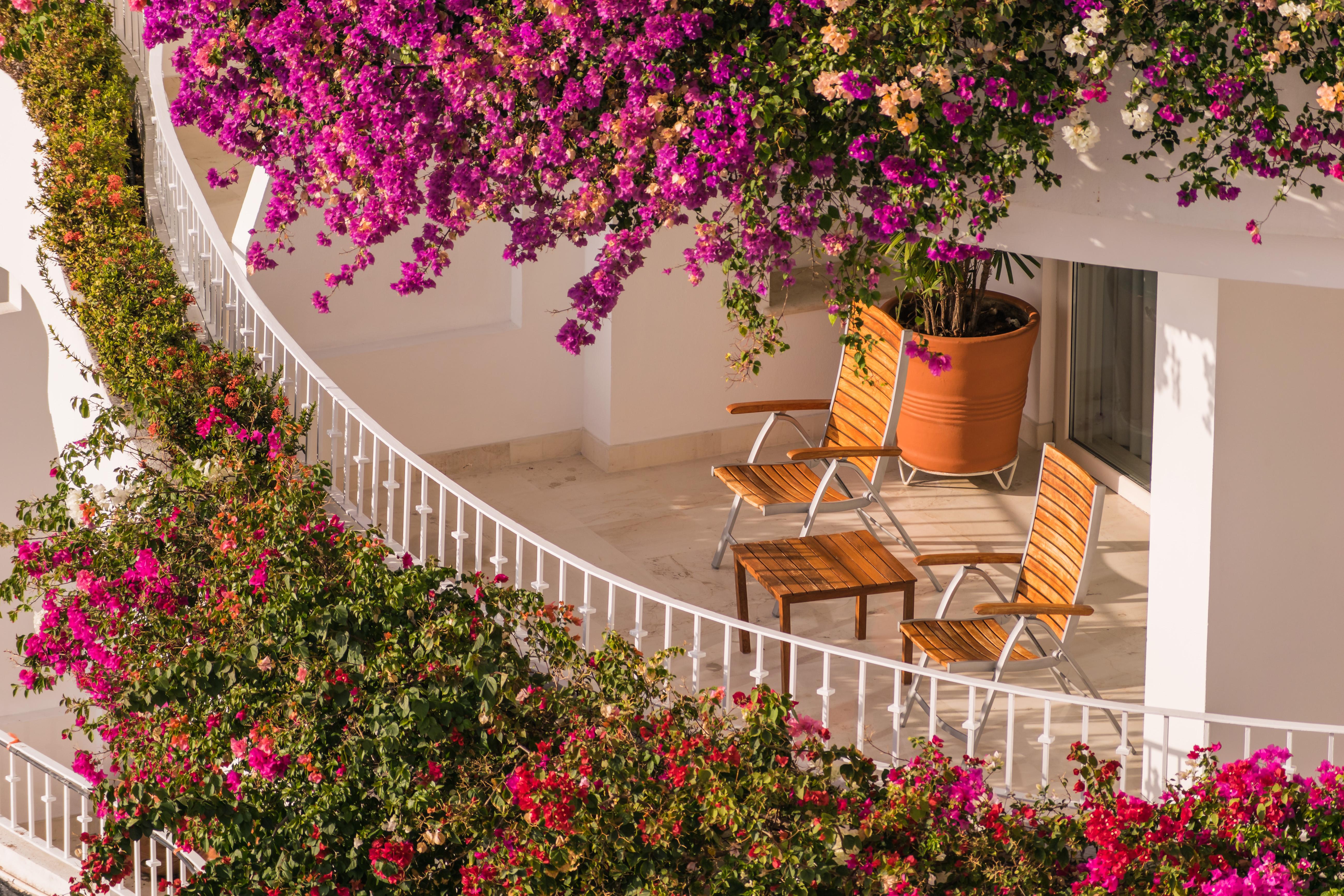 Grand Miramar All Luxury Suites & Residences (Adults Only) Puerto Vallarta Eksteriør billede