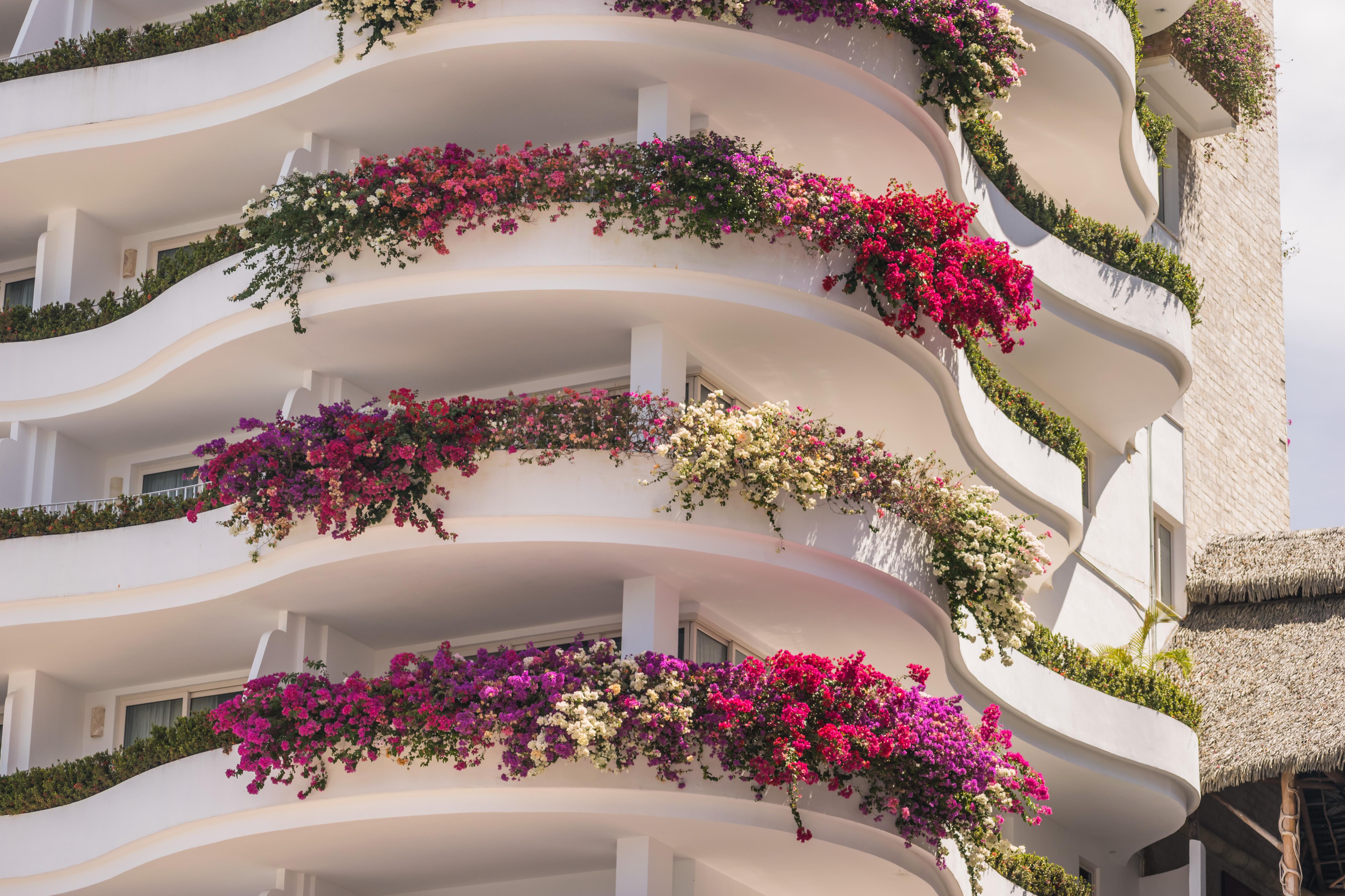 Grand Miramar All Luxury Suites & Residences (Adults Only) Puerto Vallarta Eksteriør billede