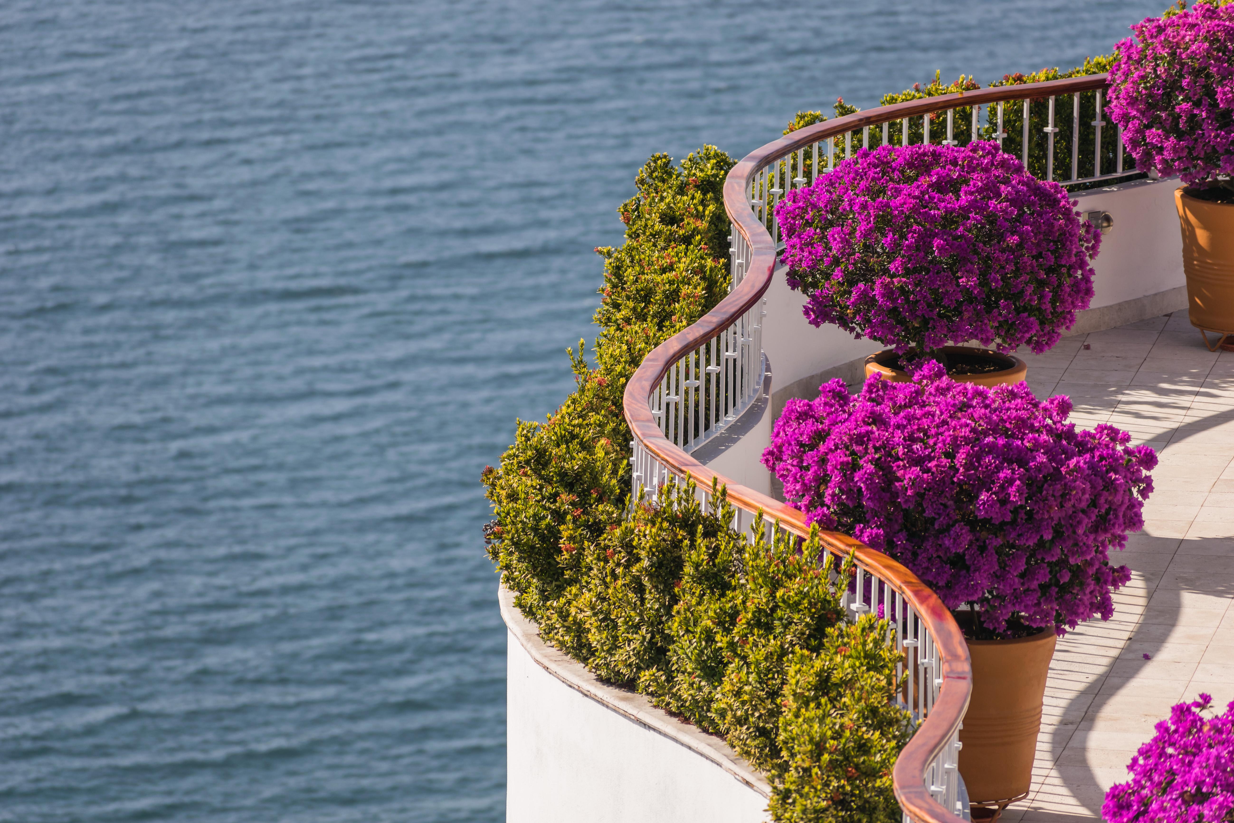 Grand Miramar All Luxury Suites & Residences (Adults Only) Puerto Vallarta Eksteriør billede