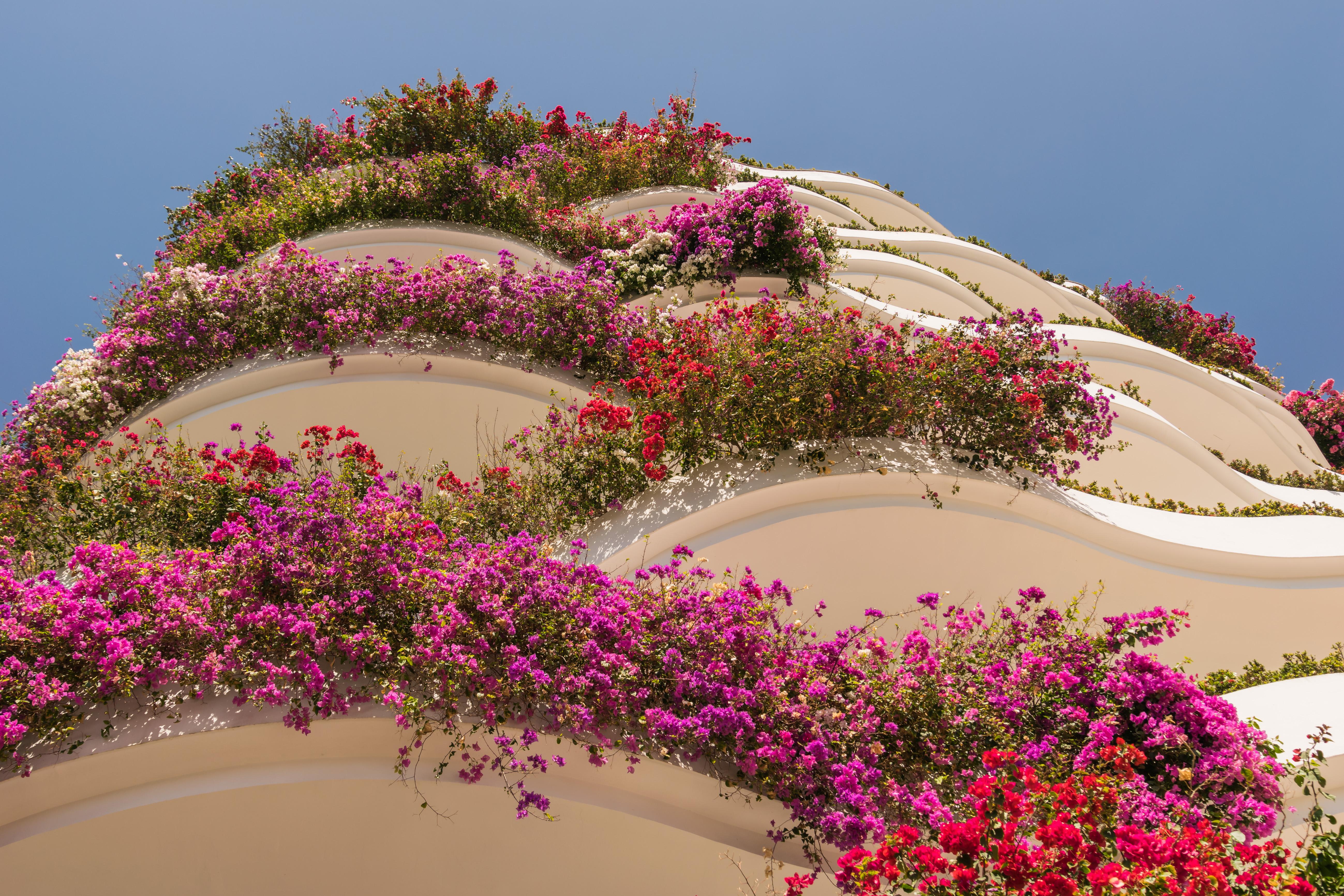 Grand Miramar All Luxury Suites & Residences (Adults Only) Puerto Vallarta Eksteriør billede
